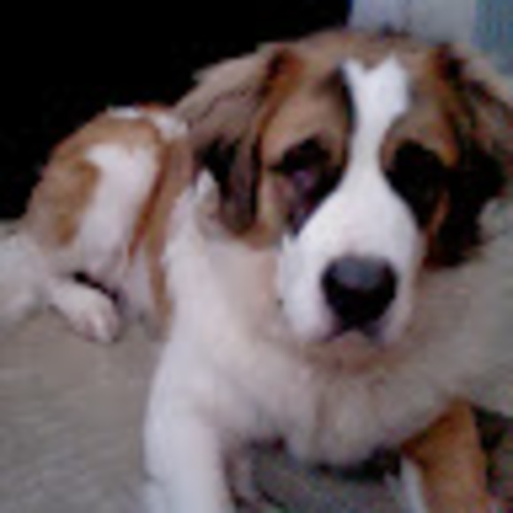 Meet your Posher, Charmaine - Picture 1 of 1